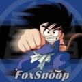 FoxSnoop