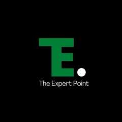 theexpertpoint